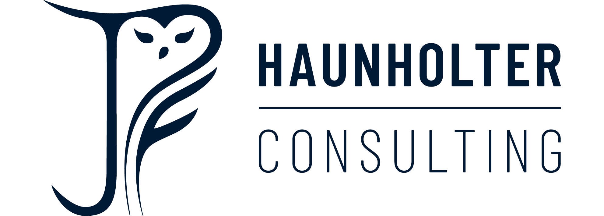 Logo Haunholter-Consulting